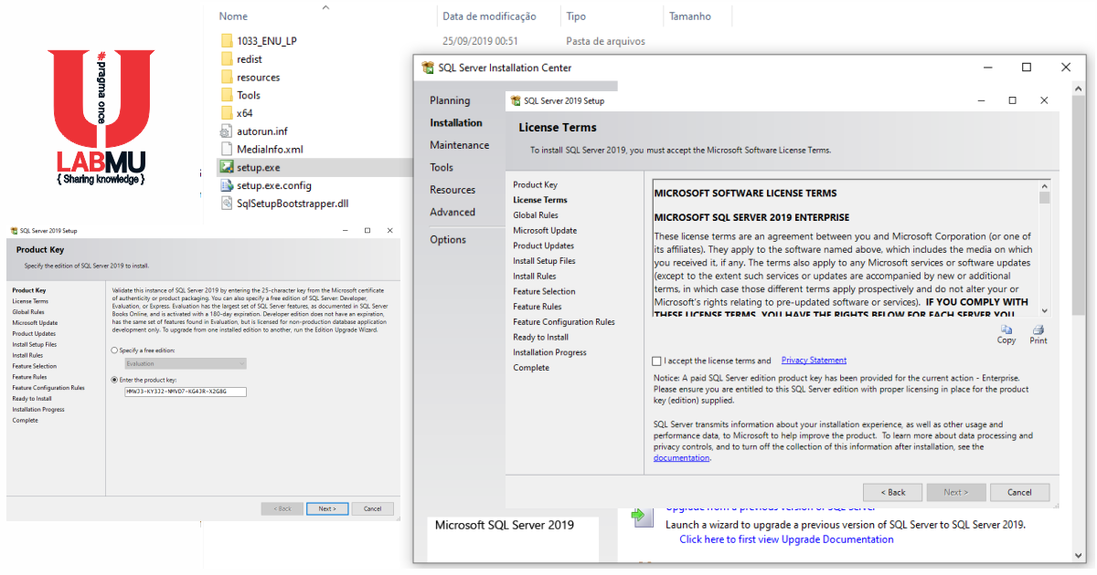 Labmu downloads sql server